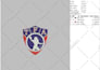 do dst embroidery digitizing in 1 hour