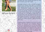 design magazine layout or booklet