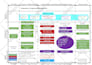 draw flow diagram,uml diagram,network diagram,business diagram etc in visio