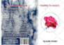 design book cover with realistic mock up