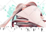 do a professional architectural illustration