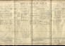 research your family tree