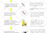 create a manual flawless spanish translation for you