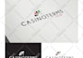 design the perfect logo for your brand