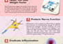 design infographic and image submission to 20 high da sites