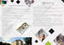 design a business flyer, brochures, and postcard for you