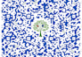 create a beautiful and unique qr code for you