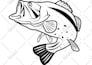 create black and white line art illustration