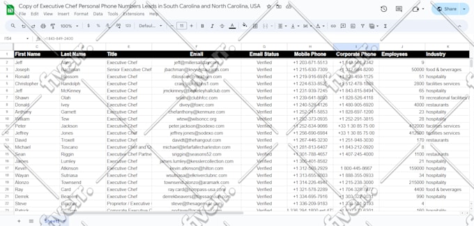 do email list building, b2b lead generation from any niche