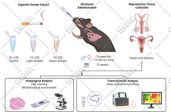 design your scientific and medical figures on biorender