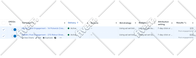 be your facebook and instagram ads agency manager