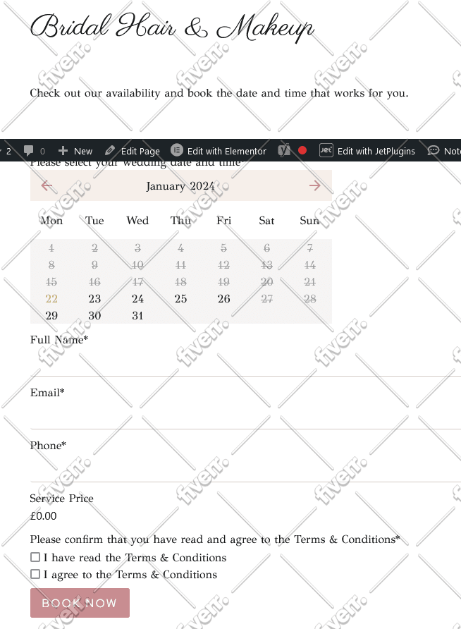 fix bugs, error or develop a wordpress website