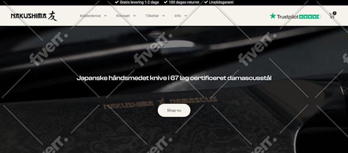 design and develop wordpress website and ecommerce store