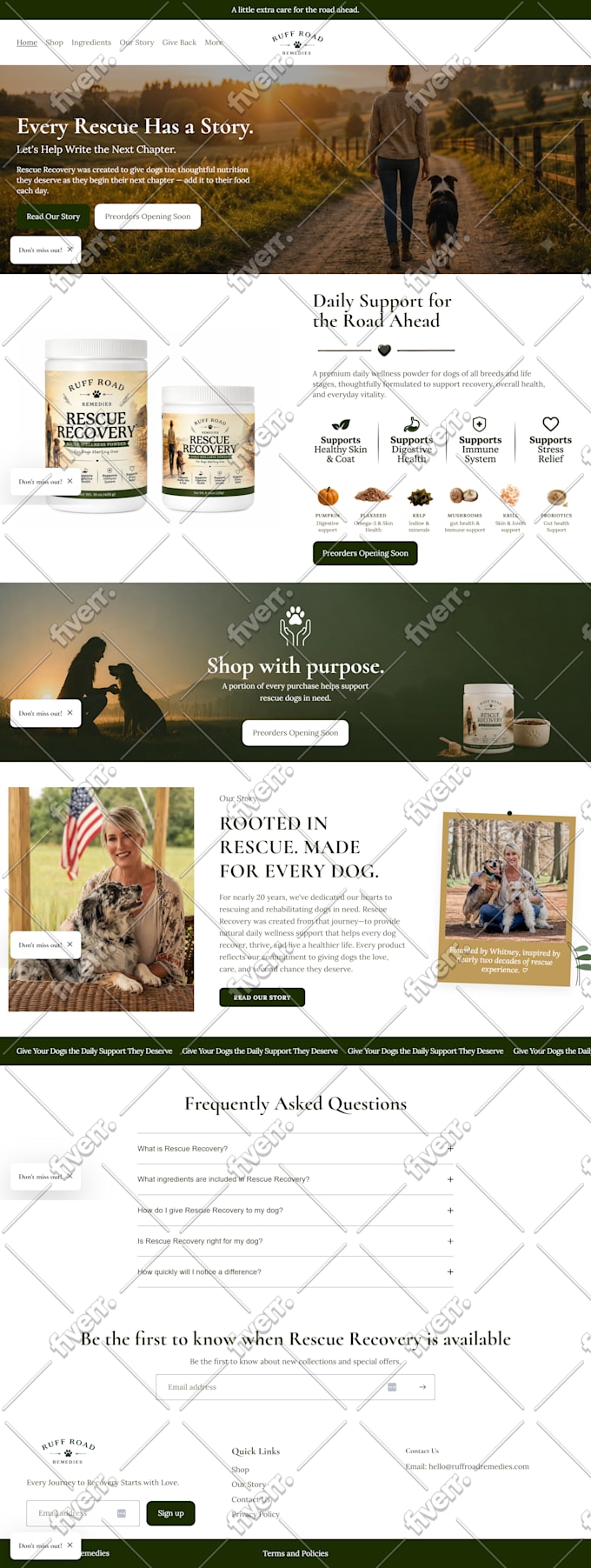 design and build shopify store, shopify ecommerce website with custom design