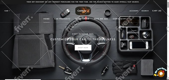 build ecommerce website shopify store design  drop shipping redesign