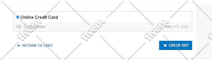 do stripe, paypal or any payment gateway integration website