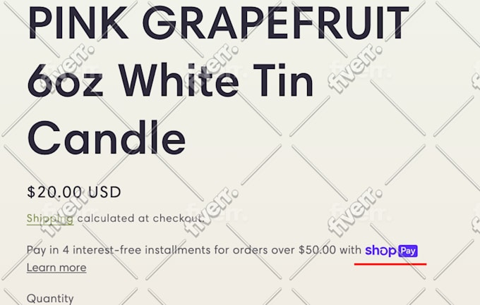 build a shopify store or dropshipping ecommerce store