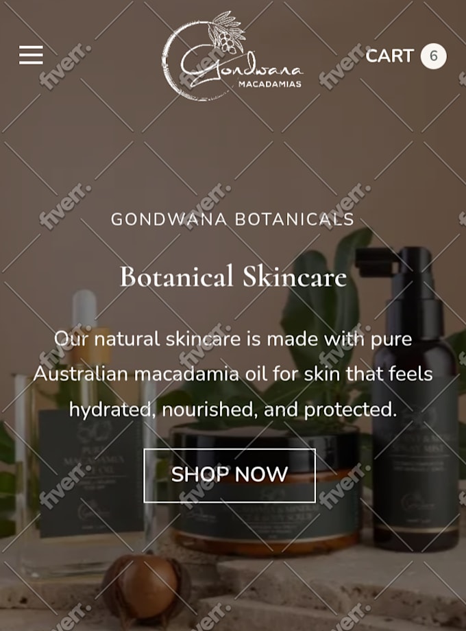 do shopify custom coding shopify bug fix and custom theme development