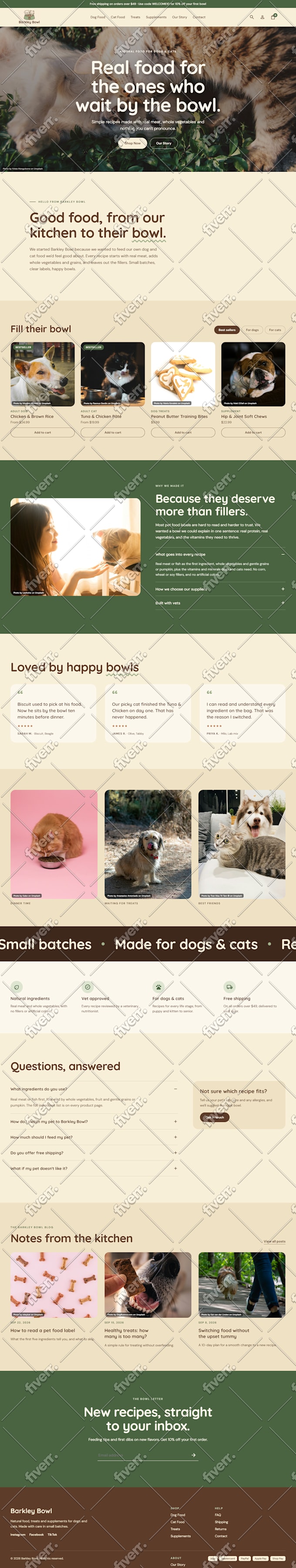 do shopify website store design redesign shopify landing page dropshipping store