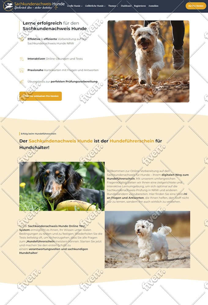 use generatepress or kadence to build wordpress website