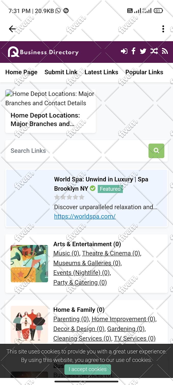 professionally design, redesign, build wordpress website