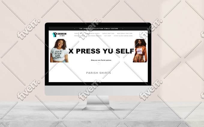 create a 7 figure shopify dropshipping store or shopify website