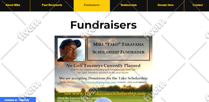 do professional weebly design or redesign weebly website