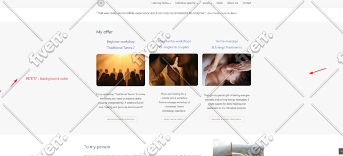 customize any wordpress theme and fix issues