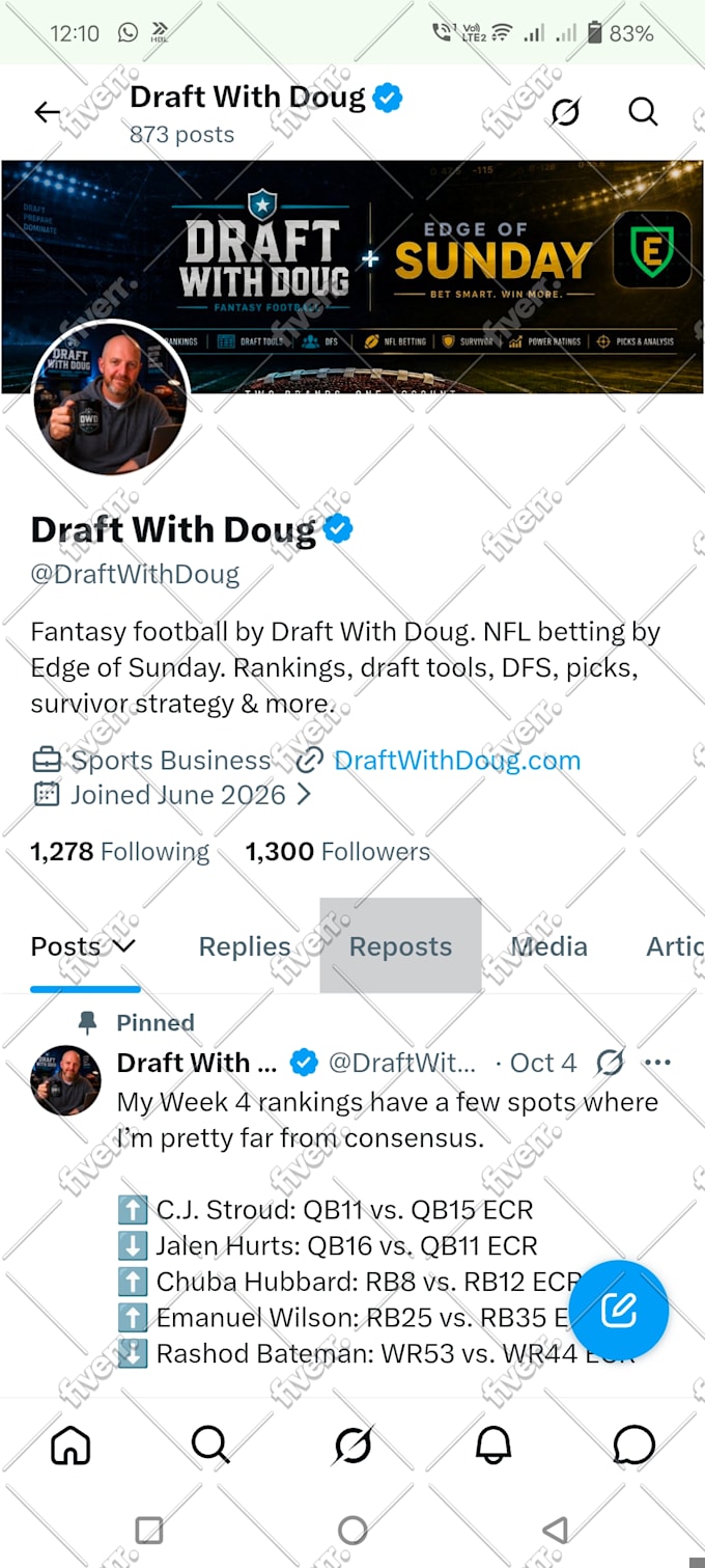 professionally do twitter x marketing