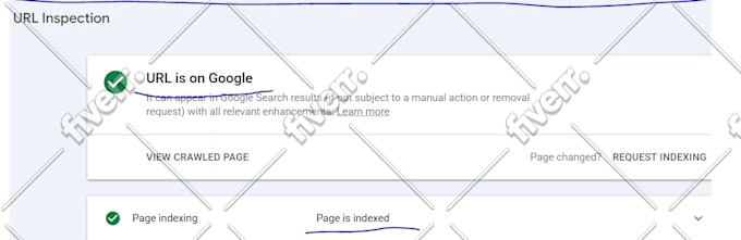 fix google search console errors, shopify indexing issue