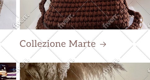 set up shopify store