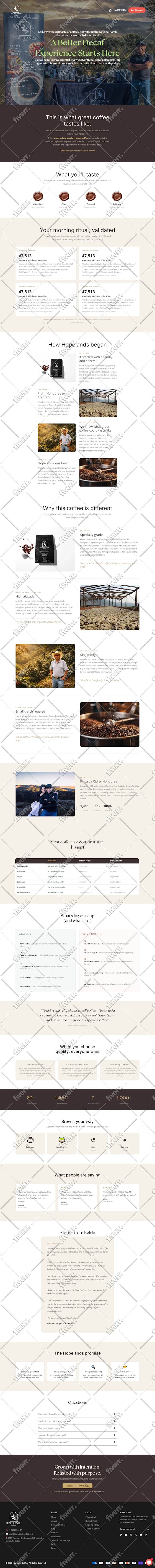 design, redesign, revamp wordpress website build, clone website development