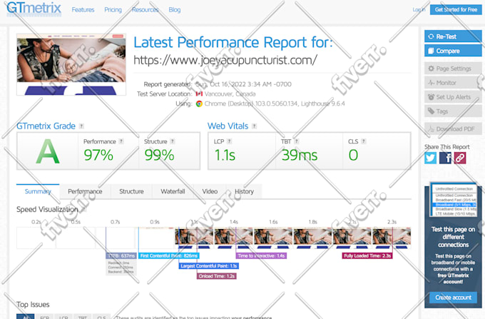fix any wordpress bug, customisation or maintenance services