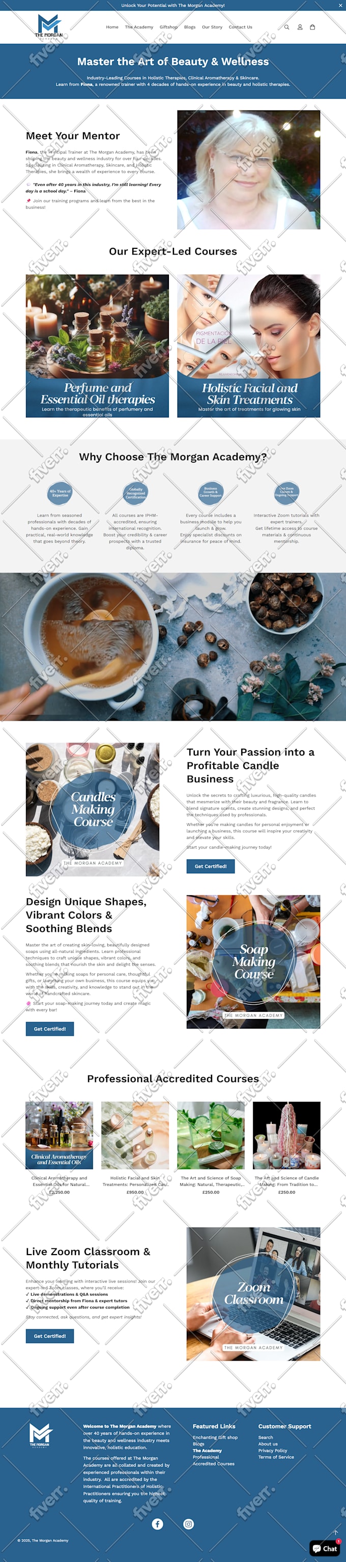 build a professional shopify website, ecommerce store design, and dropshipping