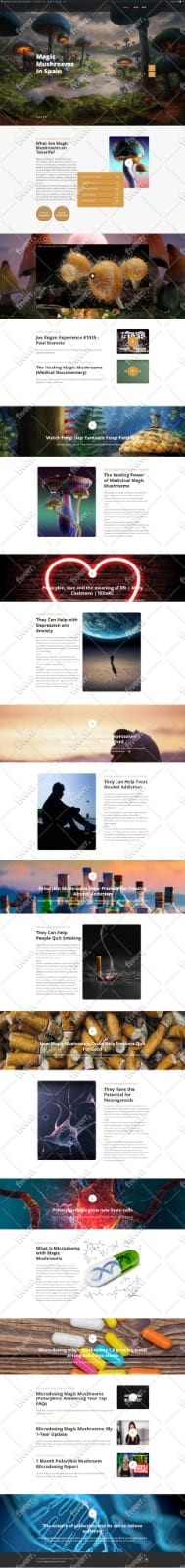 migrate your wordpress website to new host