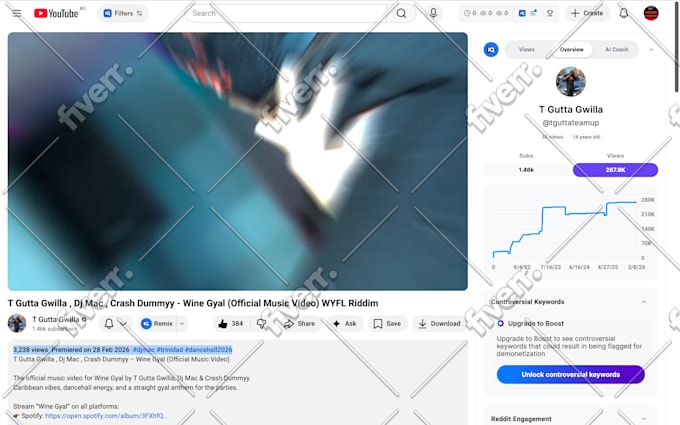 do organic youtube video promotion with google ads