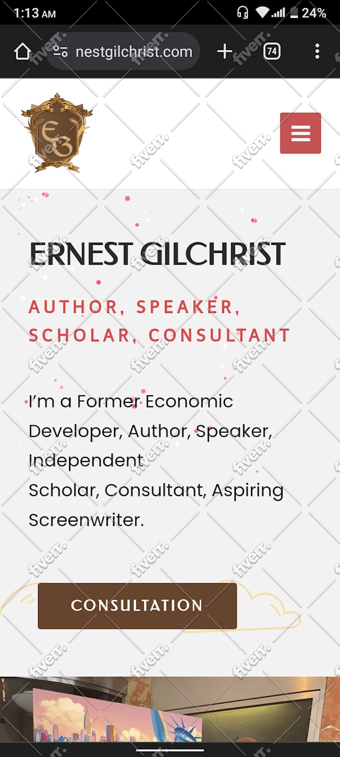 build responsive professional book author website
