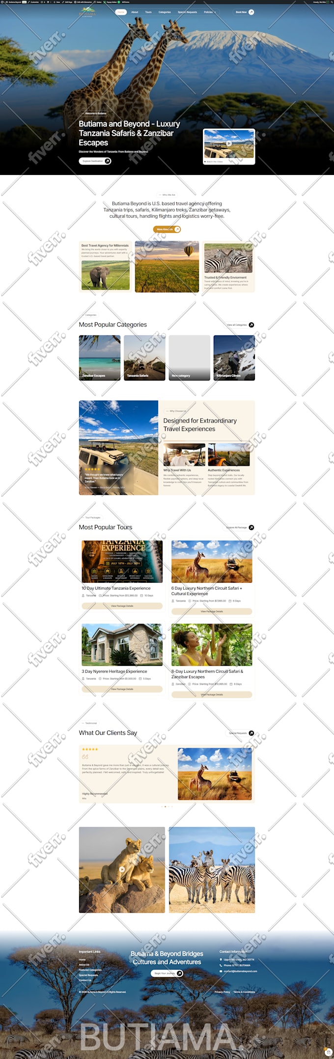 design or redesign wordpress website with elementor pro