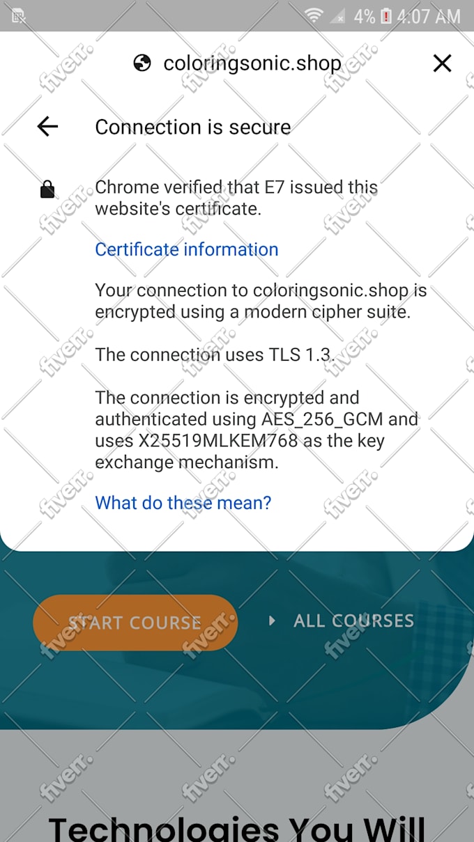 fix wordpress bugs, elementor errors, plugin and woocommerce issues
