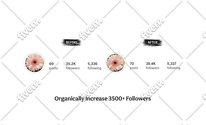 do super fast organic instagram growth