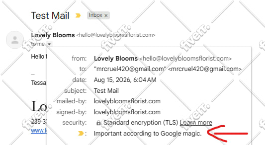 setup your google workspace domain email