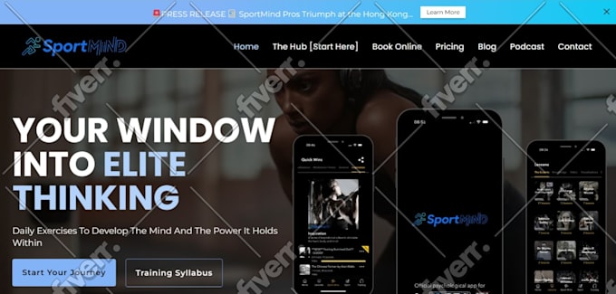 develop a responsive wordpress website design just for you