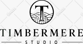 redesign, edit, retrace or vectorize your logo professionally