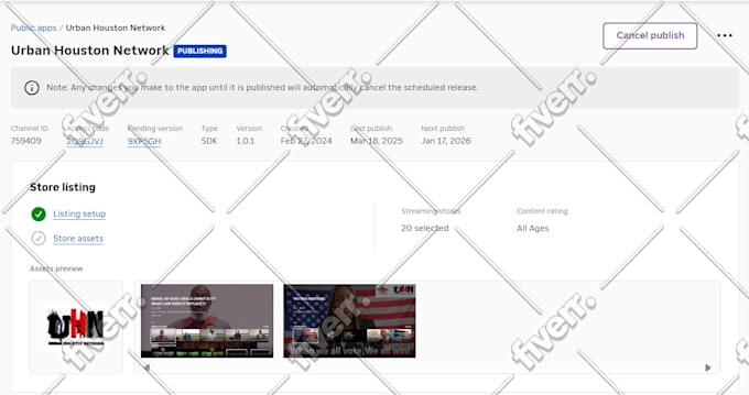develop professional roku or firetv channel