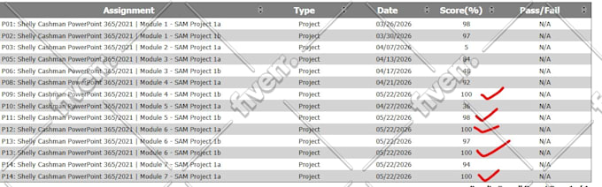 do your sam cengage, capstone, simnet projects in ms access, word, ppt
