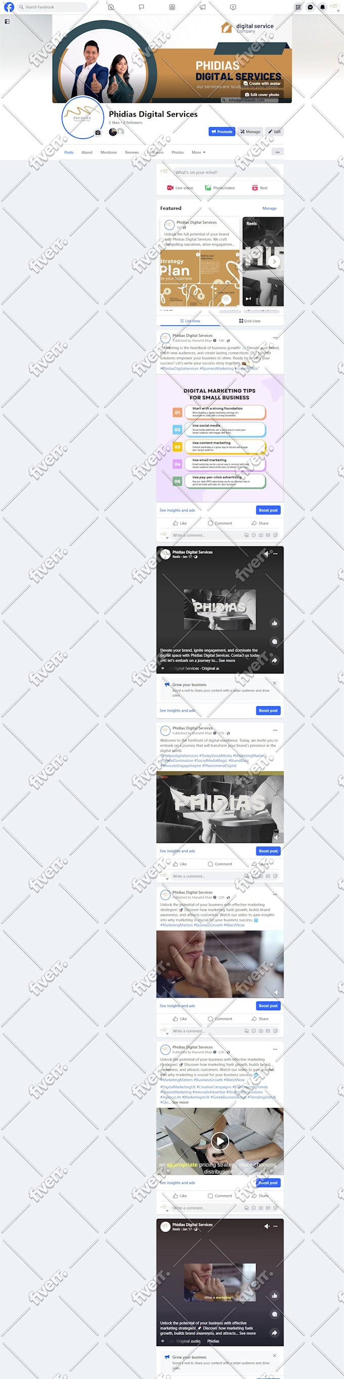 develop, recreate a professional SEO facebook business page