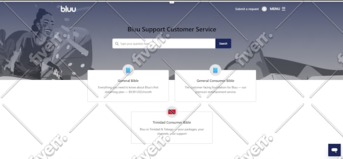 build shopify website design or dropshipping store, customize