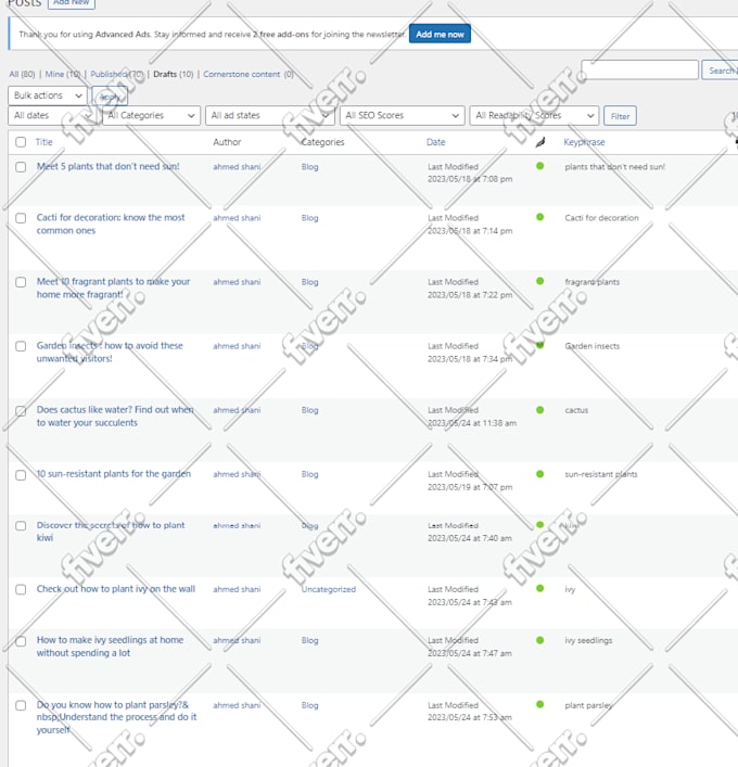 do complete yoast onpage seo for wordpress website