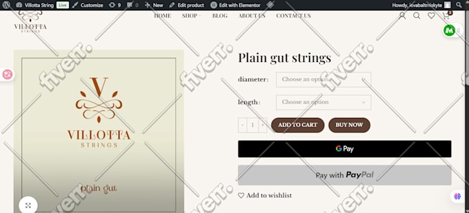 do professional wordpress site maintenance, website updates and support