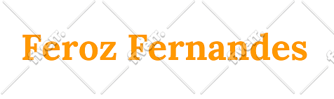 bug fix or customize wix website